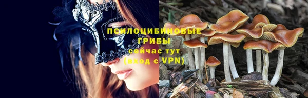 мяу мяу мука Киренск