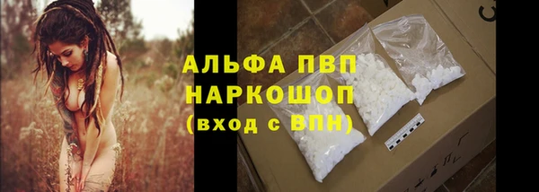 спиды Киреевск