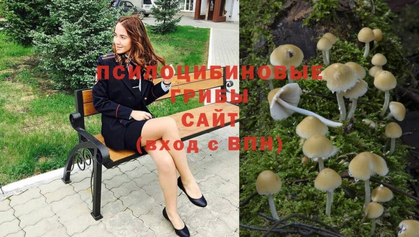 не бодяженный Касимов