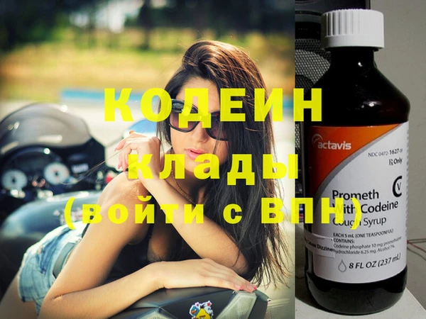 гидра Коряжма