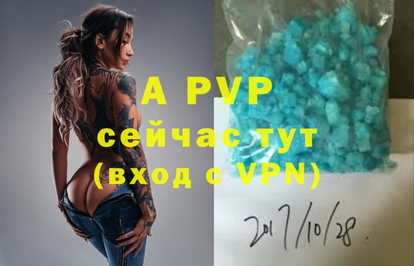 спиды Киреевск