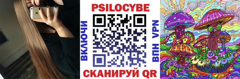 Псилоцибиновые грибы Psilocybine cubensis  Красный Холм 